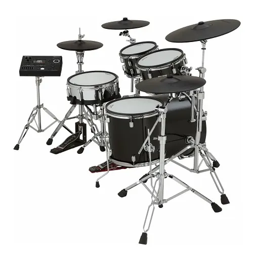 Drums & Percussion