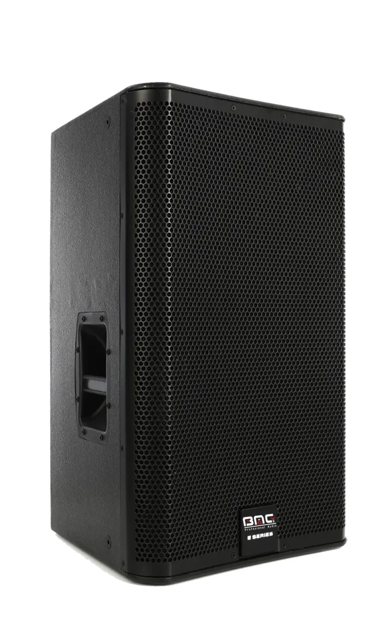 Bomge KS10 Two-way monitor speaker product image