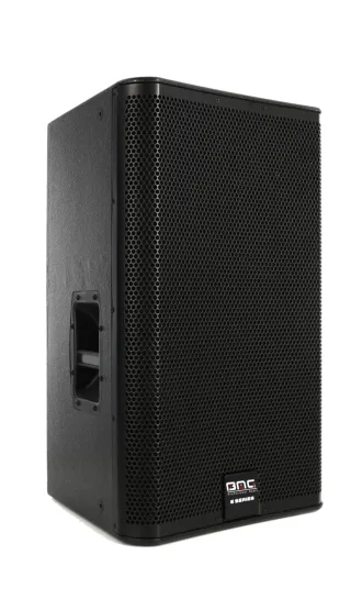 Bomge KS10 Two-way monitor speaker product image