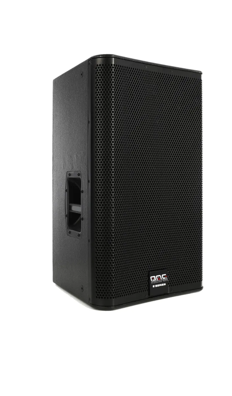 Bomge KS8 Two-way monitor speaker product image