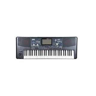 Korg Pa1000 MG product image