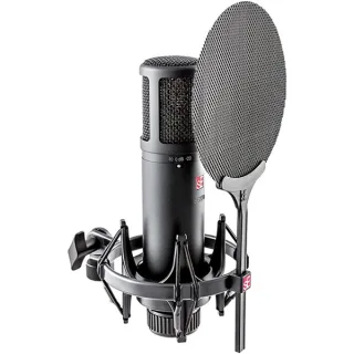 sE Electronics sE2200 Large-diaphragm Condenser Microphone product image