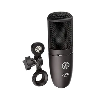 AKG P120 Large-diaphragm Condenser Microphone product image