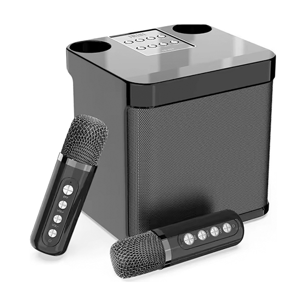 Bomge YS-203 Portable Speaker With Dual Wireless Microphone