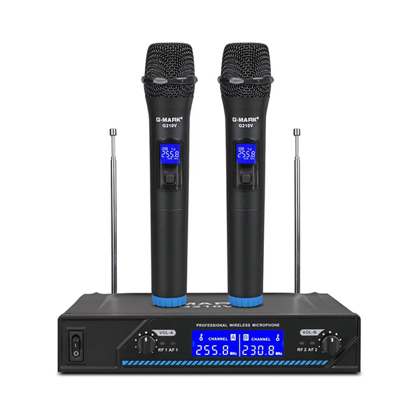 Bomge BMG V210 Dual Wireless Microphone