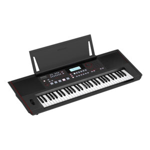 Roland Arabic E-X50 61-Key Arranger Keyboard – Black