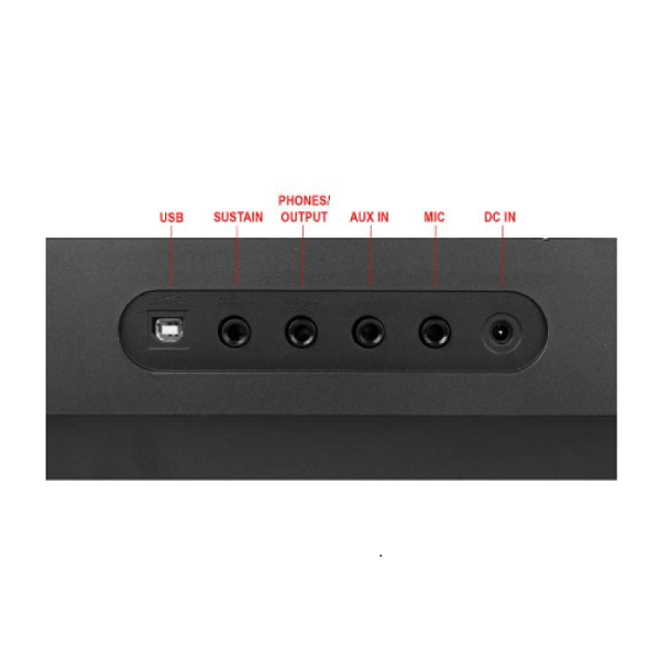 Medeli MK100 Arranger Keyboard Image 3